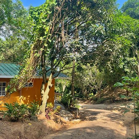 Hotel La Casablanca Tayrona Calabazo  Kültér fotó