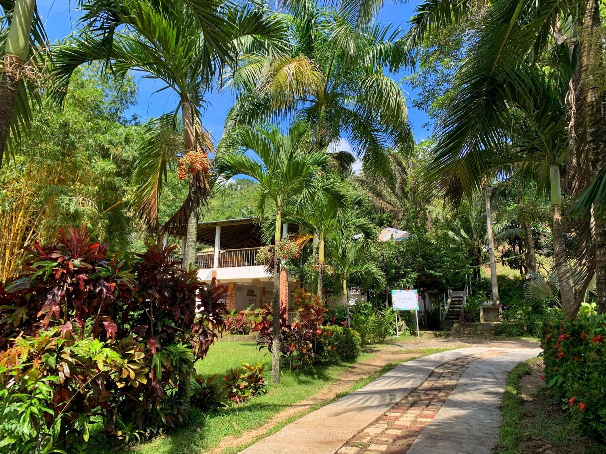 Hotel La Casablanca Tayrona Calabazo  Kültér fotó