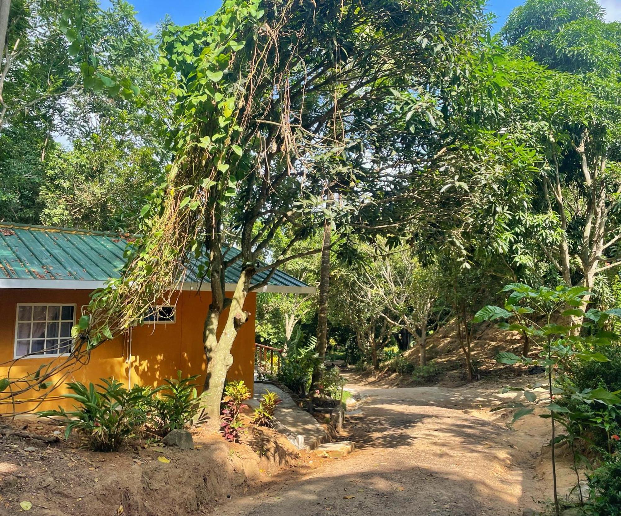Hotel La Casablanca Tayrona Calabazo  Kültér fotó